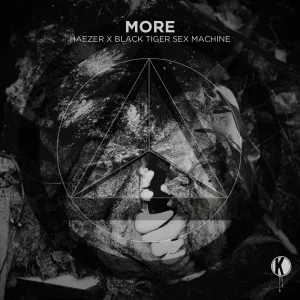 Pochette de More de Haezer - Black Tiger Sex Machine
