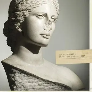 Pochette de Le Roi des forêts de Claire Diterzi