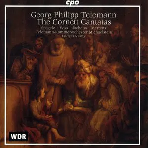 Pochette The Cornett Cantatas