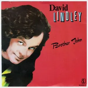 Pochette de Brother John de David Lindley
