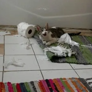 Pochette de Perpetual Damnation de Kevin Drumm