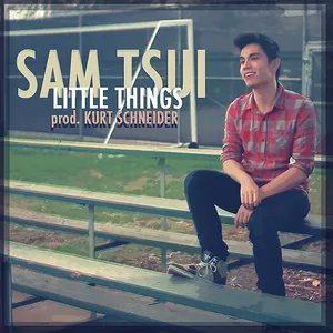Pochette de Little Things de Sam Tsui