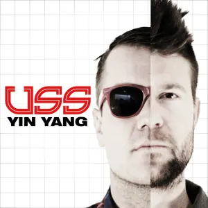 Pochette de Yin Yang de Ubiquitous Synergy Seeker