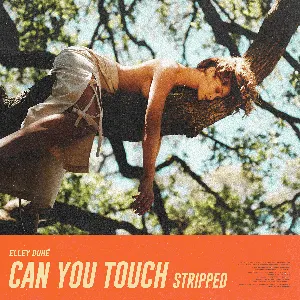 Pochette Can You Touch (stripped)