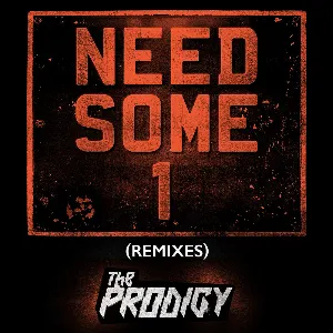 Pochette de Need Some1 (Remixes) de The Prodigy