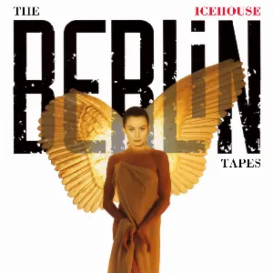 Pochette The Berlin Tapes