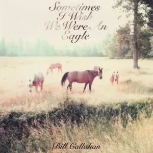 Pochette de Sometimes I Wish We Were an Eagle de Bill Callahan