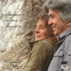 Pochette de In The Bleak Midwinter de David Llewellyn