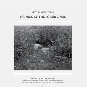 Pochette de Pruning of the Lower Limbs de Moving Mountains