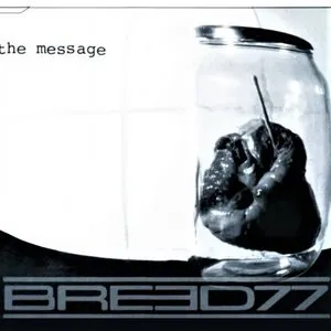 Pochette de The Message de Breed 77