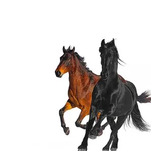 Pochette de Old Town Road (remix) de Lil Nas X