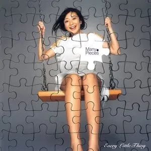 Pochette de Many Pieces de Every Little Thing