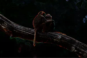 Pochette de El Carnaval Profundo (Steffen Kirchhoff revision) de Mente Orgánica