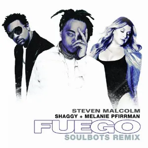 Pochette de Fuego (SoulBots remix) de Shaggy