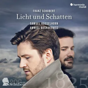 Pochette de Licht und Schatten de Franz Schubert