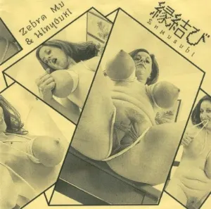 Pochette de Unfold / Enmushubi de Hinyouki