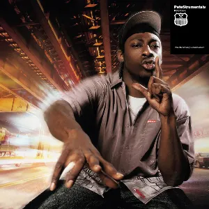 Pochette de PeteStrumentals de Pete Rock