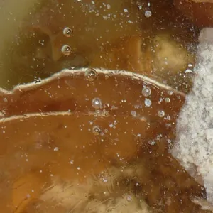 Pochette de Horror of Birth de Kevin Drumm