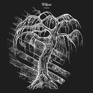 Pochette de Willow de Tamino