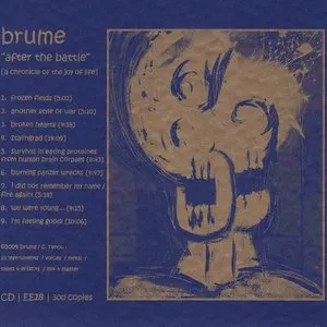 Pochette de After the Battle: A Chronicle of the Joy of Life de Brume