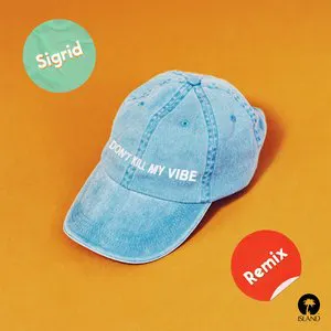 Pochette de Don’t Kill My Vibe (Gryffin remix) de Sigrid
