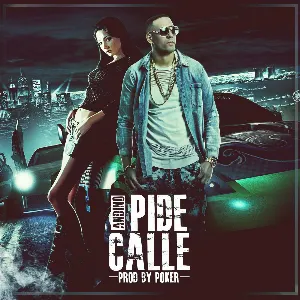 Pochette de Pide calle de Andino