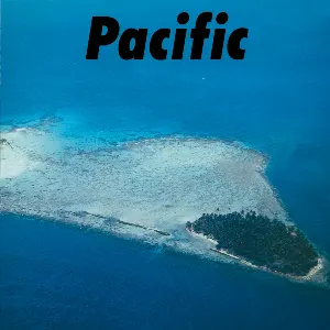 Pochette Pacific