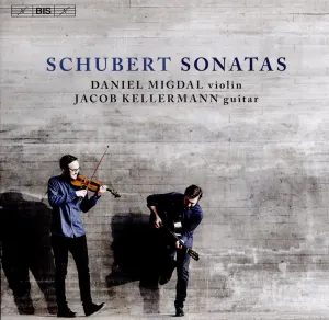 Pochette de Sonatas de Franz Schubert