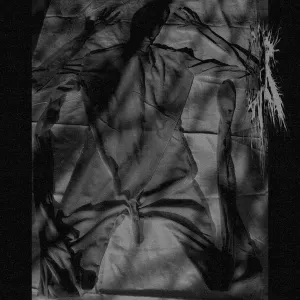 Pochette de Exuvie de Chier
