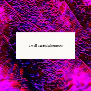 Pochette de A Well Wasted Afternoon de Omnis