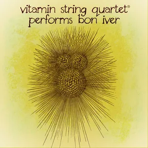 Pochette Vitamin String Quartet Performs Bon Iver
