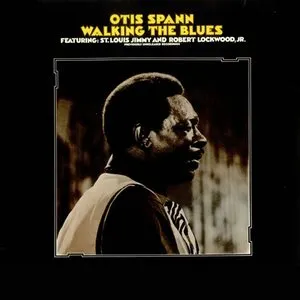 Pochette de Walking the Blues de Robert Lockwood, Jr. - Otis Spann