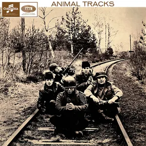 Pochette Animal Tracks