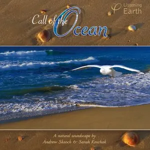 Pochette de Call of the Ocean de Andrew Skeoch