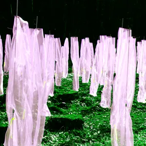 Pochette de Steamroom 32 de Jim O’Rourke