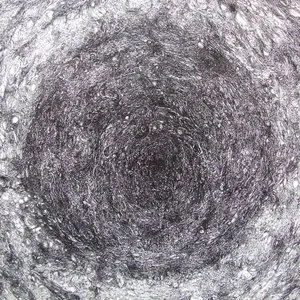 Pochette de The Back Room de Kevin Drumm