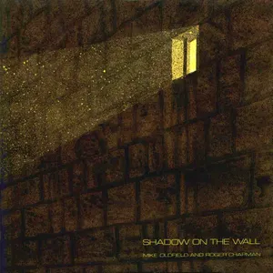 Pochette Shadow on the Wall