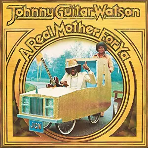 Pochette Johnny Guitar Watson