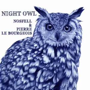 Pochette Night Owl