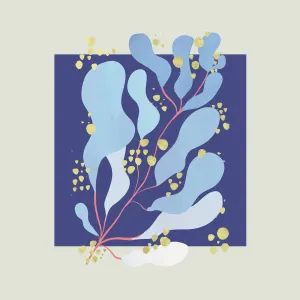 Pochette de In Parallel de Salamanda