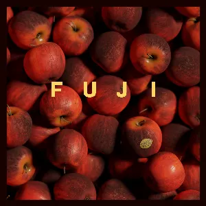 Pochette de Fuji de IMANU