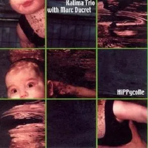 Pochette de Hippycone de Marc Ducret