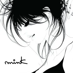 Pochette de mink de mink