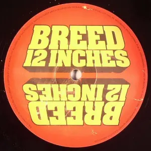 Pochette de Skyhook / The Scraper de Katharsys