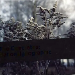 Pochette de Nationalgeographic de The Concretes