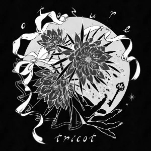 Pochette de おとずれ de tricot