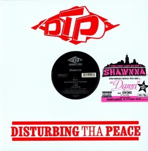 Pochette de Damn de Shawnna