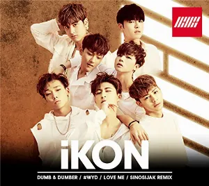Pochette de DUMB & DUMBER de iKON