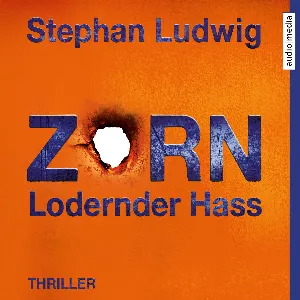 Pochette de Zorn: Lodernder Hass de David Nathan
