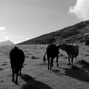 Pochette de Void XX de Chihei Hatakeyama